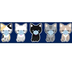 Cute Quarantine Kitties Bumper Sticker