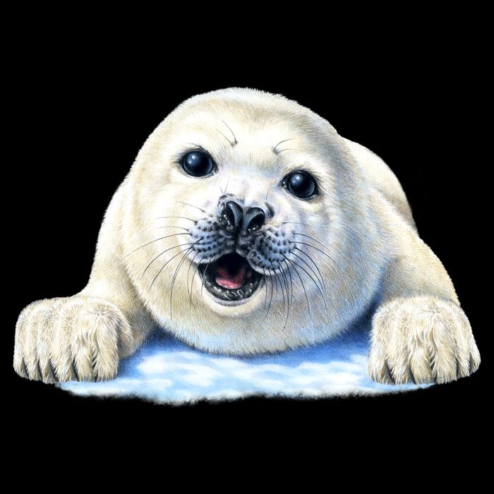 Cute Seal Wildlife Cooling Performance Crew T-Shirt