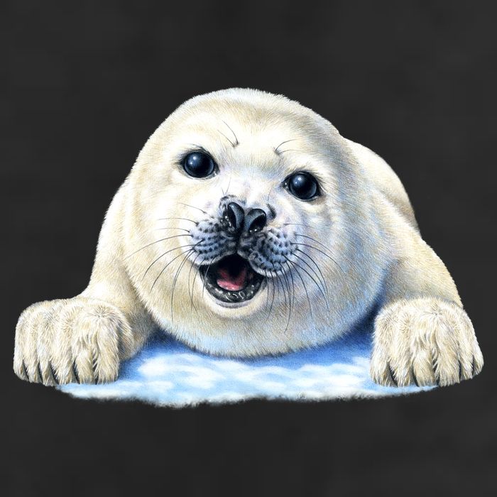 Cute Seal Wildlife Adult Drive Performance Visor