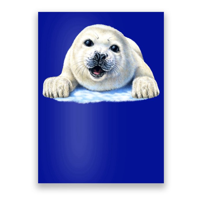 Cute Seal Wildlife Poster