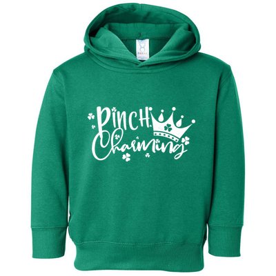 Cute St Patricks Day Pinch Charming Toddler Hoodie