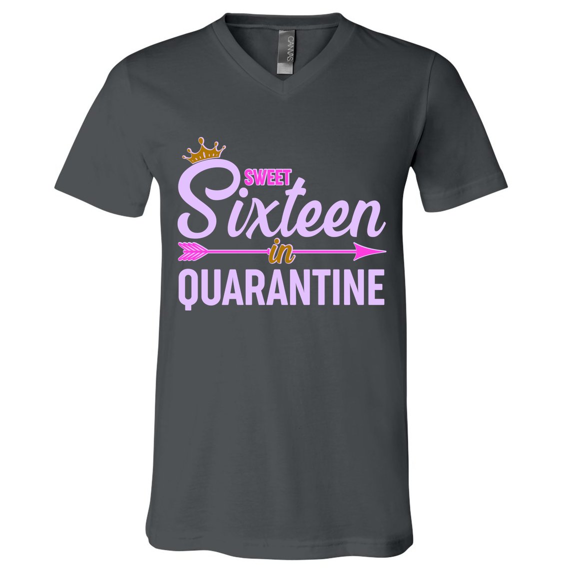 Cute Sweet Sixteen in Quarantine V-Neck T-Shirt