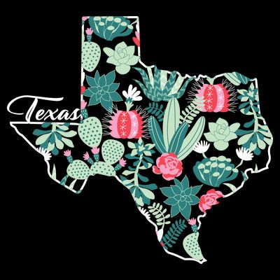 Cute Texas Cactus And Flowers T-Shirt