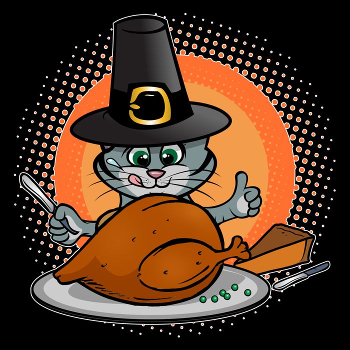 Cute Thanksgiving Happy Kitty Turkey Dinner Drawstring Bag