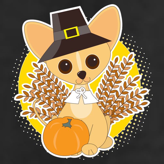 Cute Thanksgiving Pilgrim Puppy Adult Drive Performance Visor