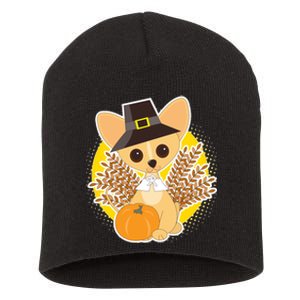 Cute Thanksgiving Pilgrim Puppy Short Acrylic Beanie