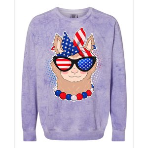 Cute USA Patriotic Llama Colorblast Crewneck Sweatshirt