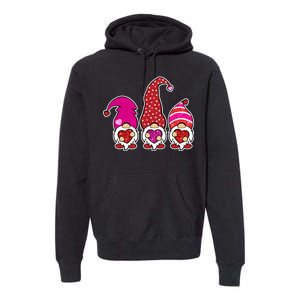 Cute Valentine's Day Gnomes Premium Hoodie