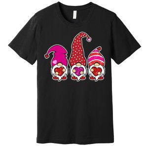 Cute Valentine's Day Gnomes Premium T-Shirt