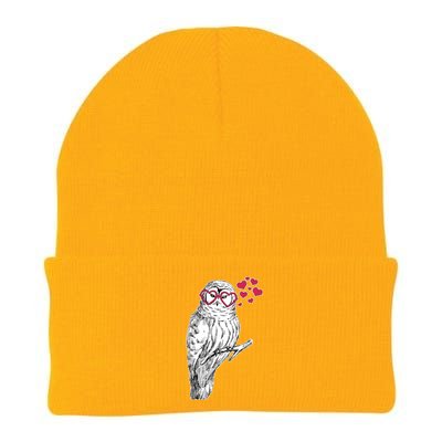 Cute Valentine's Day Heart Glasses Owl Love Knit Cap Winter Beanie