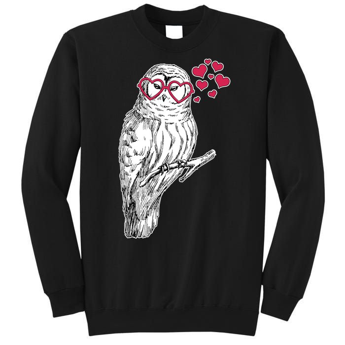 Cute Valentine's Day Heart Glasses Owl Love Sweatshirt