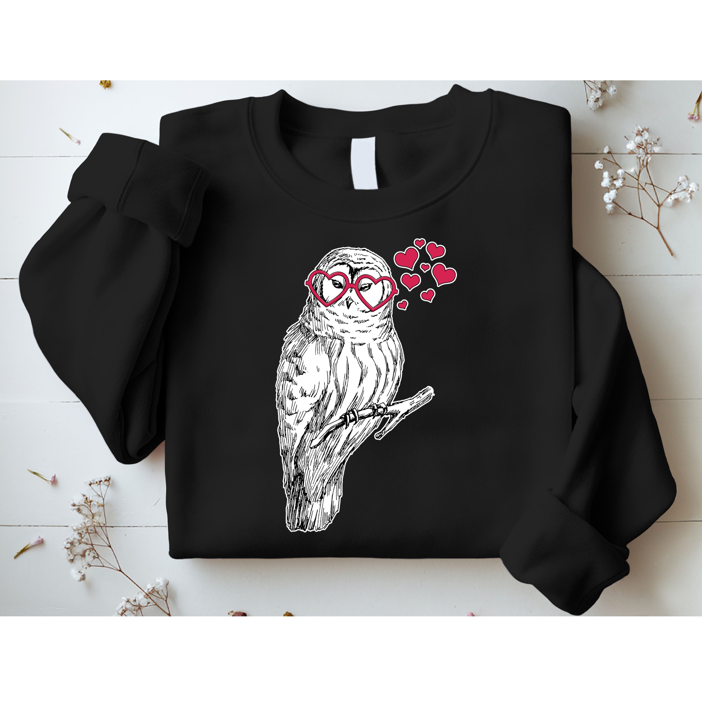 Cute Valentine's Day Heart Glasses Owl Love Sweatshirt