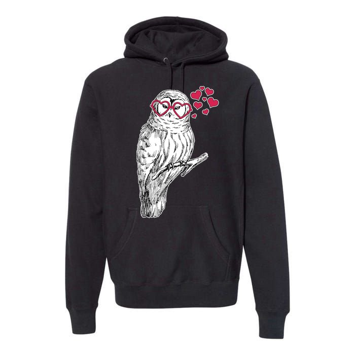 Cute Valentine's Day Heart Glasses Owl Love Premium Hoodie