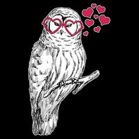 Cute Valentine's Day Heart Glasses Owl Love Baby Bodysuit