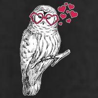 Cute Valentine's Day Heart Glasses Owl Love Trucker Hat