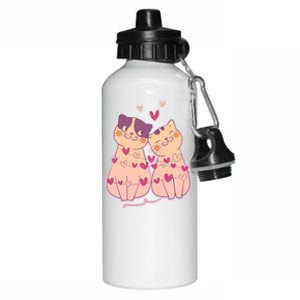 Cute Valentine's Day Kitties Aluminum Water Bottle