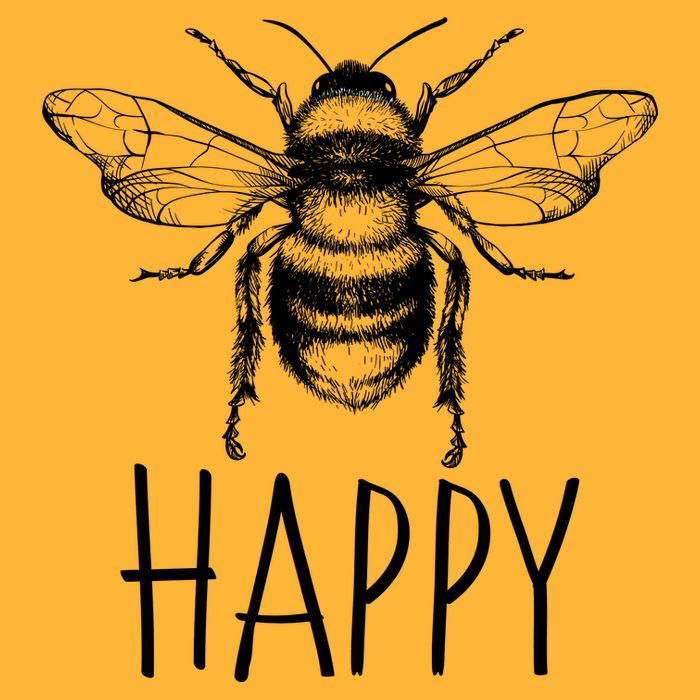 Cute Vintage Bee Happy T-Shirt