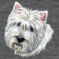 Cute Westie Dog 7 Panel Mesh Trucker Snapback Hat