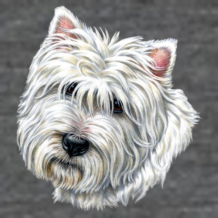 Cute Westie Dog 7 Panel Mesh Trucker Snapback Hat