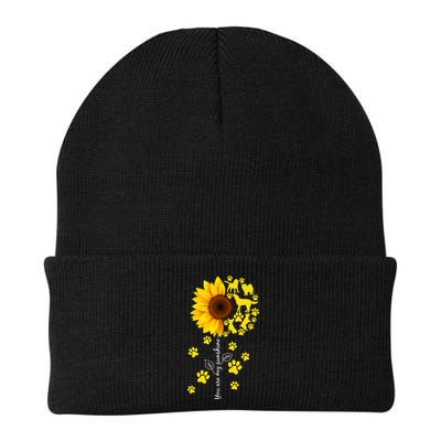 Cute You Are My Sunshine Sunflower Dogs Knit Cap Winter Beanie