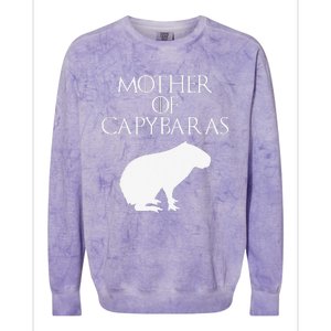 Cute & Unique White Mother of Capybaras  E010359 Colorblast Crewneck Sweatshirt