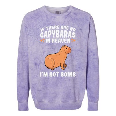 Cute & Unique White Mother Of Capybaras E010359 Colorblast Crewneck Sweatshirt