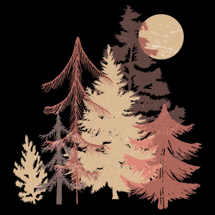 Cute Vintage Boho Pinetree Forest Women's Crop Top Tee