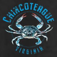 Chincoteague Virginia Blue Crab Design Adult Drive Performance Visor