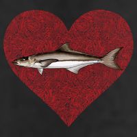 Cobia Valentines Day Fish Love Fingerprint Gift Hat