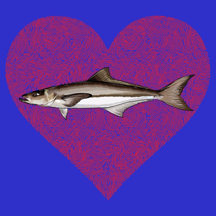 Cobia Valentines Day Fish Love Fingerprint Gift Baby Bodysuit