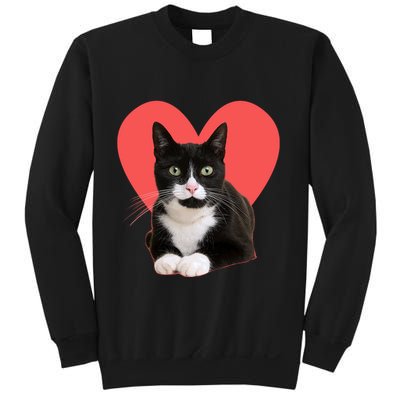 Cute Valentines Day Tuxedo Cat Lover Sweatshirt