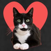 Cute Valentines Day Tuxedo Cat Lover Golf Towel