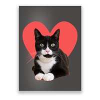 Cute Valentines Day Tuxedo Cat Lover Poster