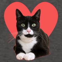 Cute Valentines Day Tuxedo Cat Lover Vector Backpack