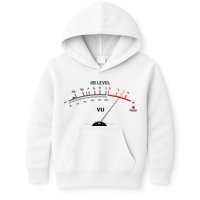Cool Vintage DB Level VU Meter Music Bass Lover Kids Hoodie