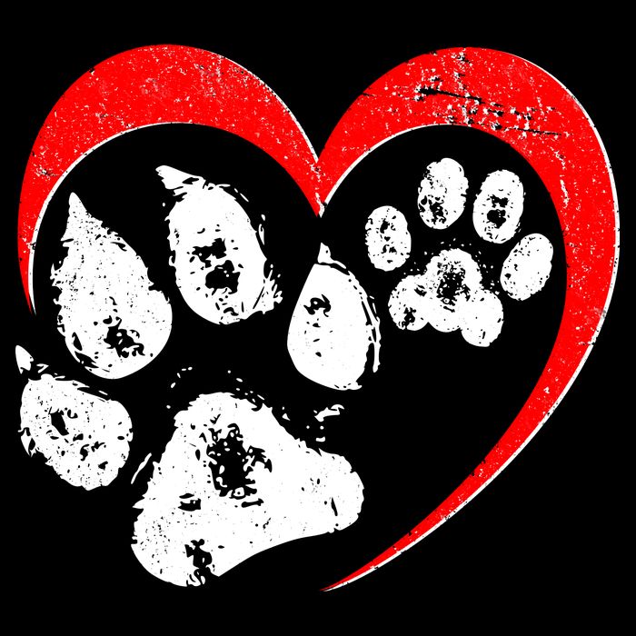 Cute Valentines Day Pet Lover Dog And Cat Paw Prints Sustainable Bucket Hat