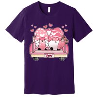 Cute Valentines Day Gnome Couple Love Premium T-Shirt