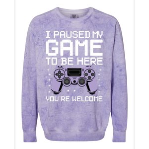 Cool Video Game Art For Men Women Video Gamer Gaming Lover Colorblast Crewneck Sweatshirt