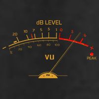 Cool Vintage Gold DB Level VU Meter Music Bass Lover Hat