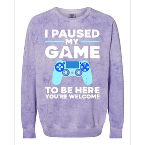 Cool Video Game Art For Wo Video Gamer Gaming Lover Colorblast Crewneck Sweatshirt