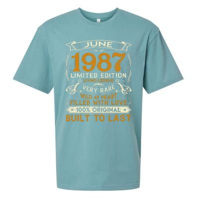 Classic Vintage June 1987 Limited Edition 36th Birthday Sueded Cloud Jersey T-Shirt