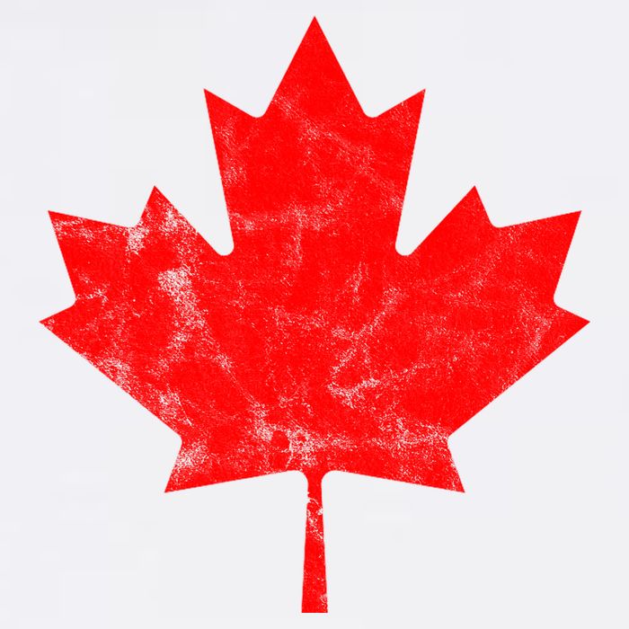 Canada Vintage Leaf Beanie