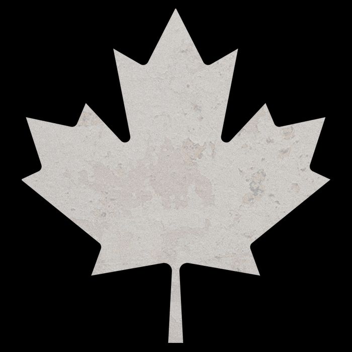 Canadian Vintage Maple Leaf Canada National Pride Flag Symbol Sweatshirt
