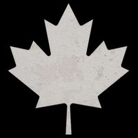 Canadian Vintage Maple Leaf Canada National Pride Flag Symbol 16 in Basic Backpack