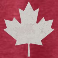 Canadian Vintage Maple Leaf Canada National Pride Flag Symbol T-Shirt