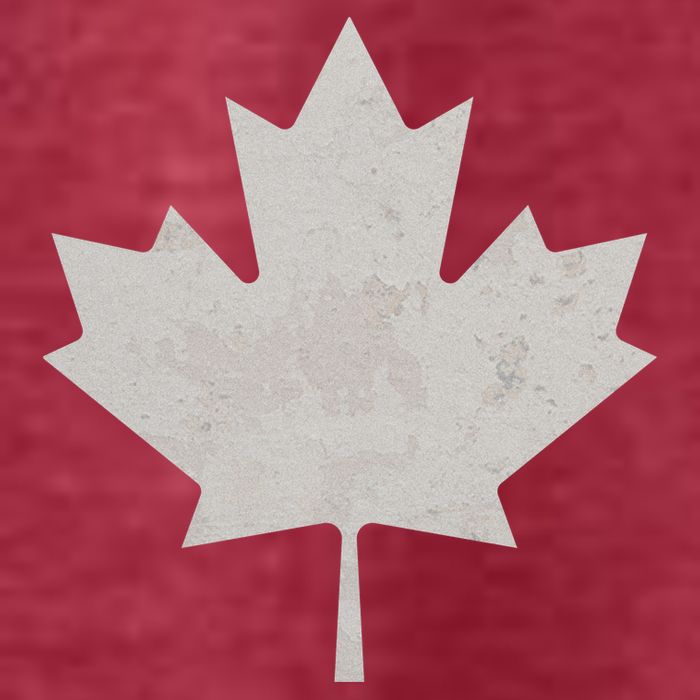 Canadian Vintage Maple Leaf Canada National Pride Flag Symbol T-Shirt