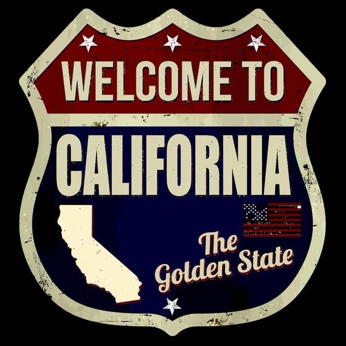 California Vintage Metal Road Sign Logo Wool Snapback Cap