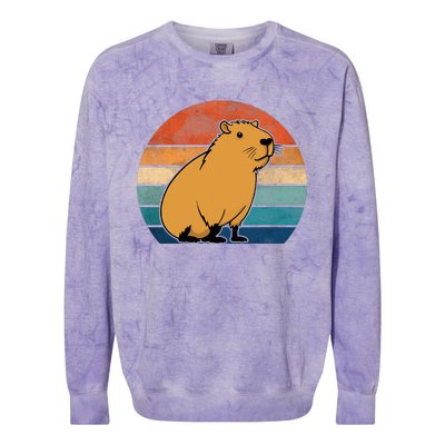 Capybara Vintage Rodent Funny Capybara Colorblast Crewneck Sweatshirt