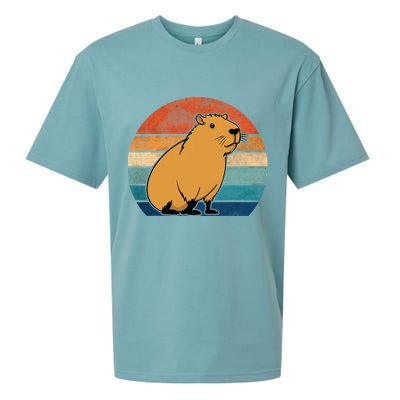 Capybara Vintage Rodent Funny Capybara Sueded Cloud Jersey T-Shirt