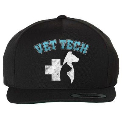 Cool Vet Technician Dog Cat Veterinarian Animal Gift Wool Snapback Cap